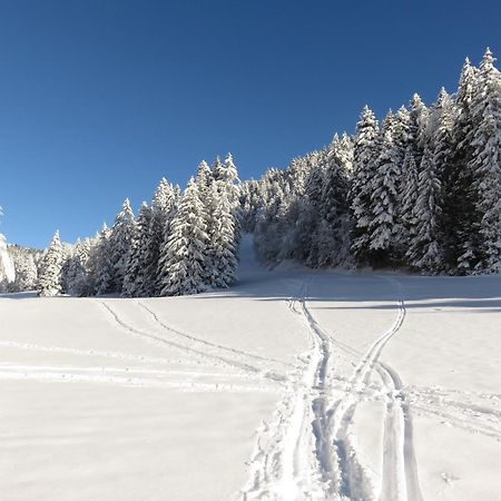 Gite La Resilience, Sur La Piste De Ski D'Autrans 外观 照片